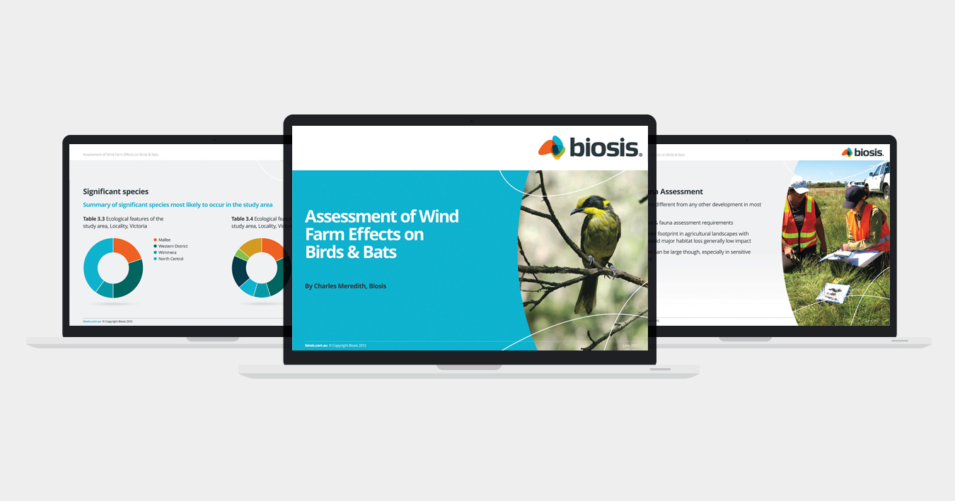 work-biosis-powerpoint-3